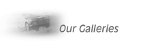 Our Galleries