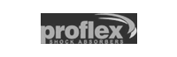 Proflex shock absorbers